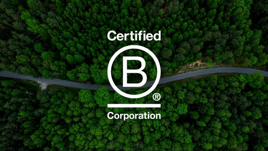 Putting the B in business: We’re now a Certified B Corp!