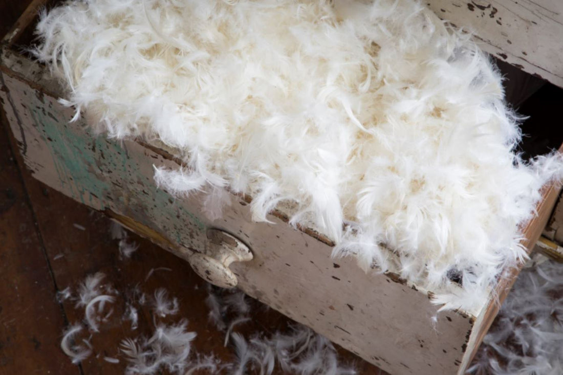 Is your pillow all it’s cracked up to be?