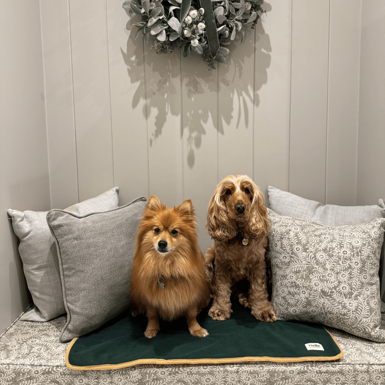 Forest Green Dog Mat - Microfibre Back