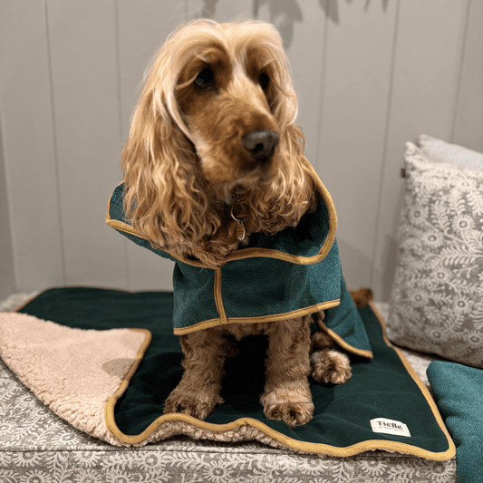 Forest Green Dog Robe