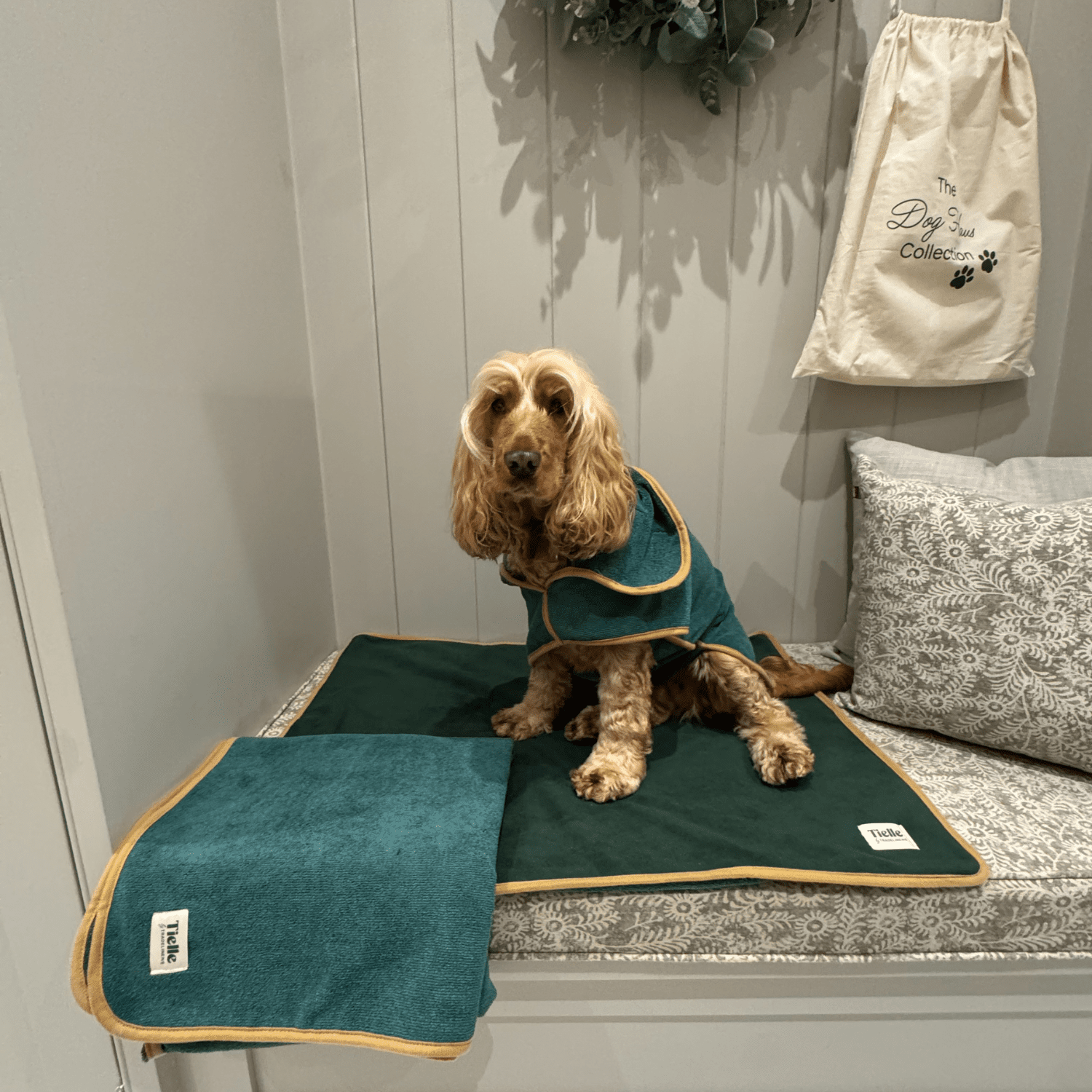 Forest Green Dog Mat - Microfibre Back