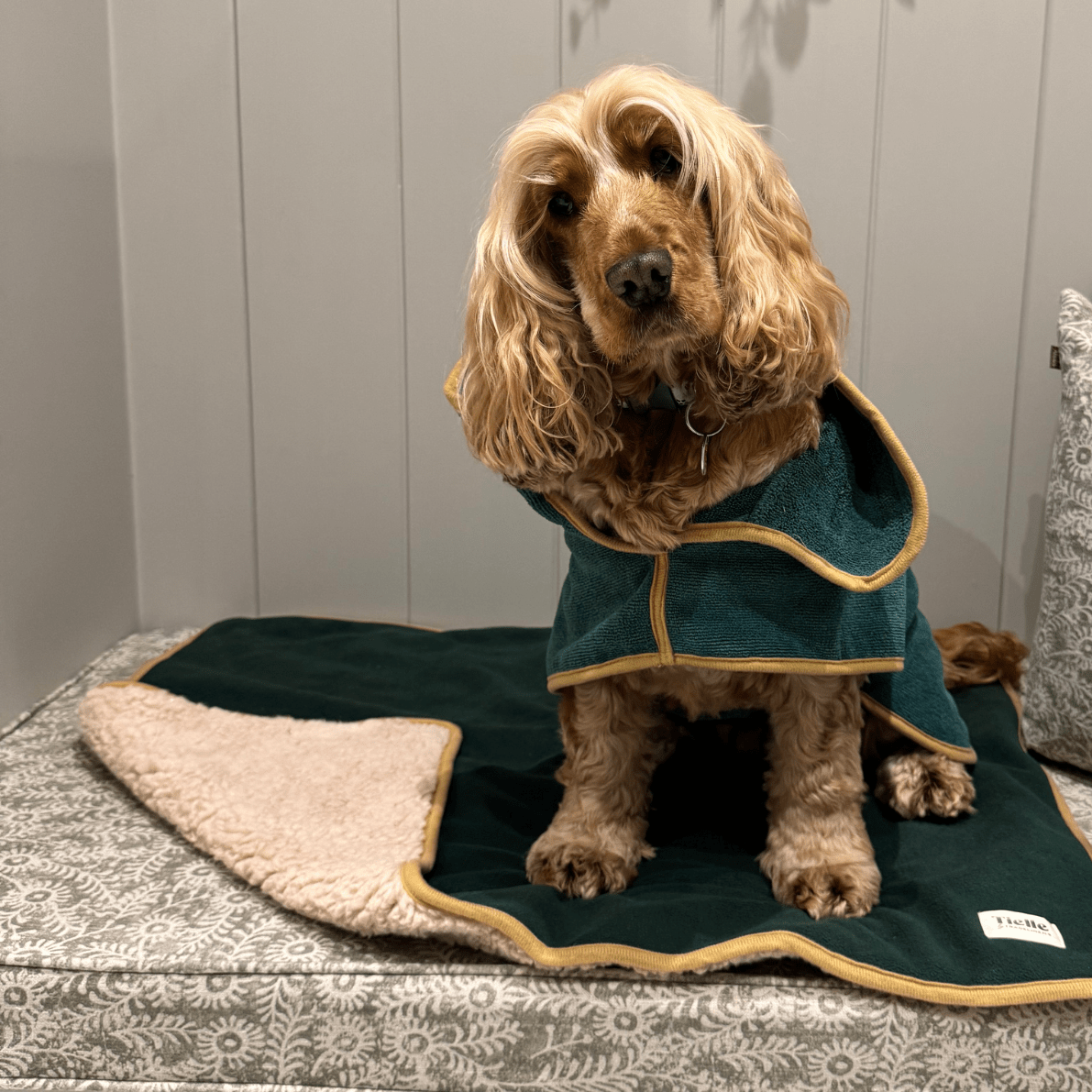 Forest Green Dog Mat - Sherpa Back