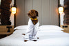 Towel robe for dog