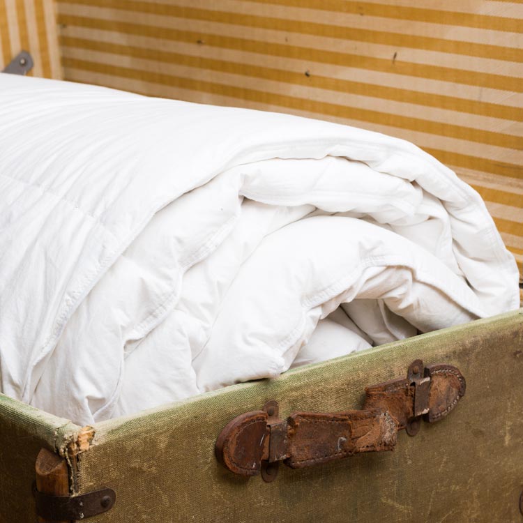 duck down duvet